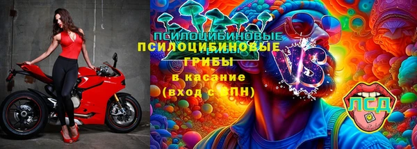mdpv Шали