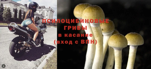mdpv Шали