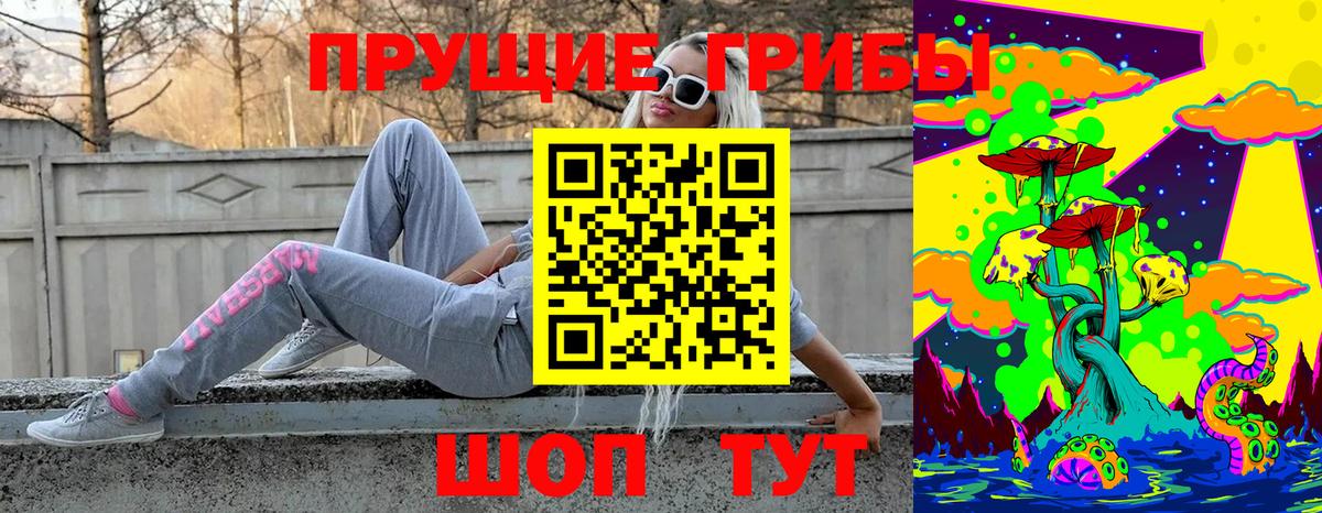 Псилоцибиновые грибы Magic Shrooms  Вход с VPN  Балаково  Псилоцибиновые грибы MAGIC MUSHROOMS 