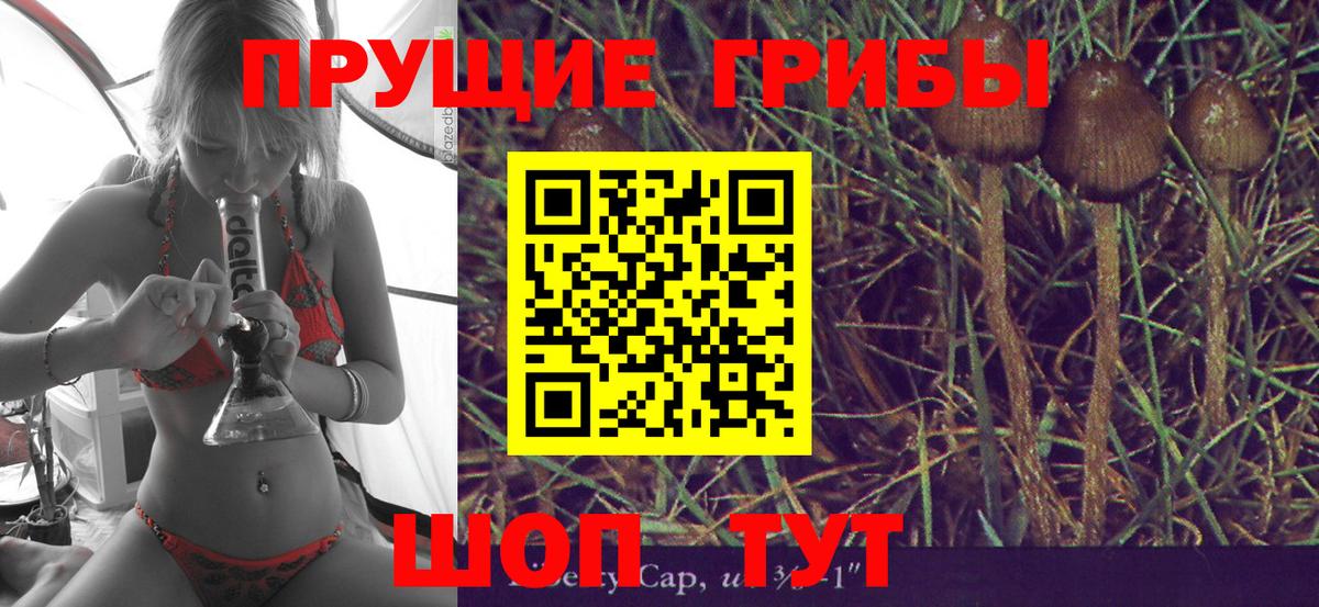 Галлюциногенные грибы Cubensis Балаково