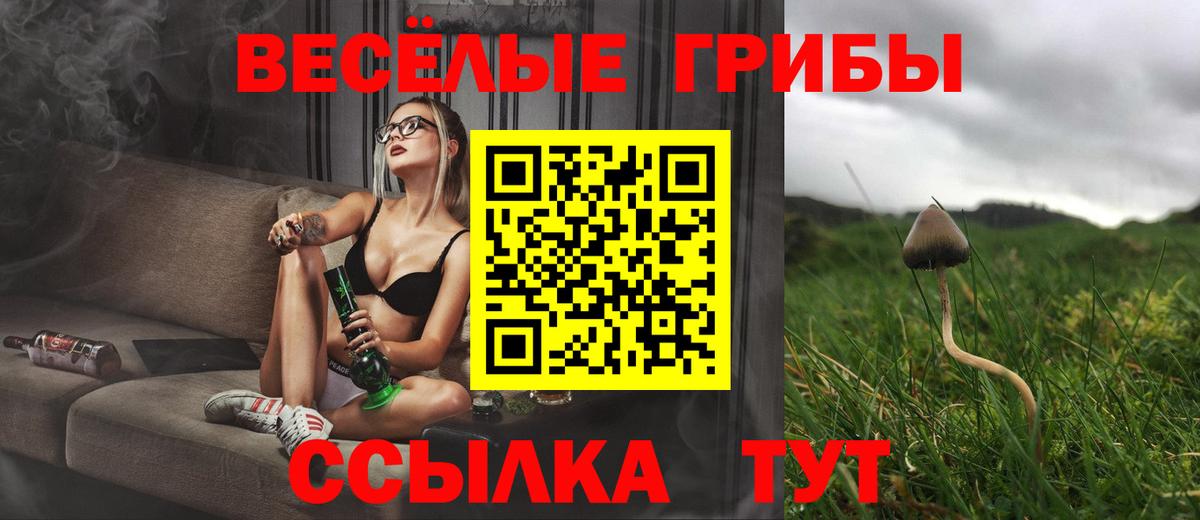 купить закладку  Вход с VPN  Псилоцибиновые грибы мухоморы  Балаково  Псилоцибиновые грибы мухоморы 