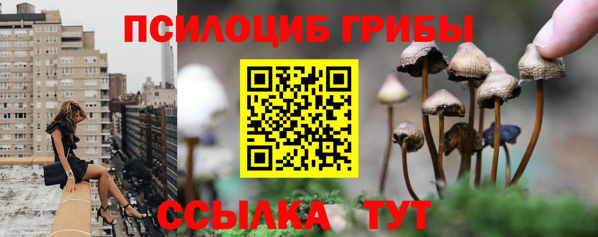 Псилоцибиновые грибы ЛСД Балаково
